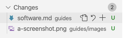 Screenshot detail of the file in the SCM file list in VS Code